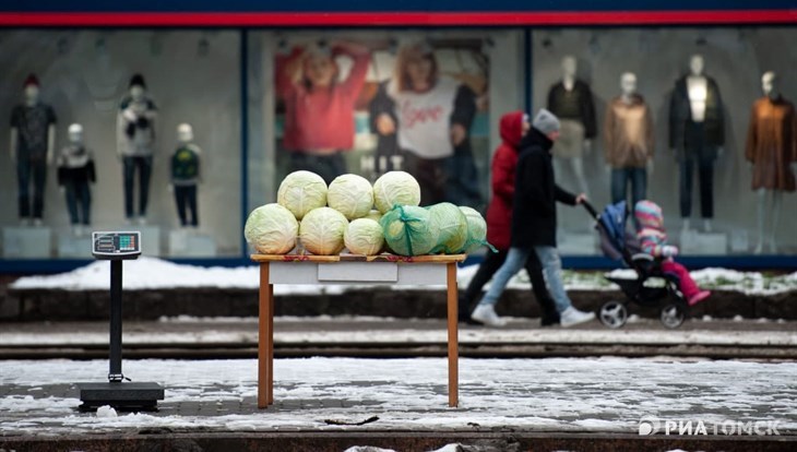 Собачий холод в конце ноября Томску не грозит, снега тоже будет мало