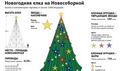 А как без елки? Чем украсят новогоднее дерево на Новособорной в Томске