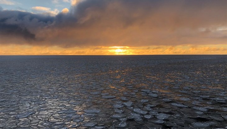 Ученые ТГУ сравнили количество мусора в морях российской Арктики