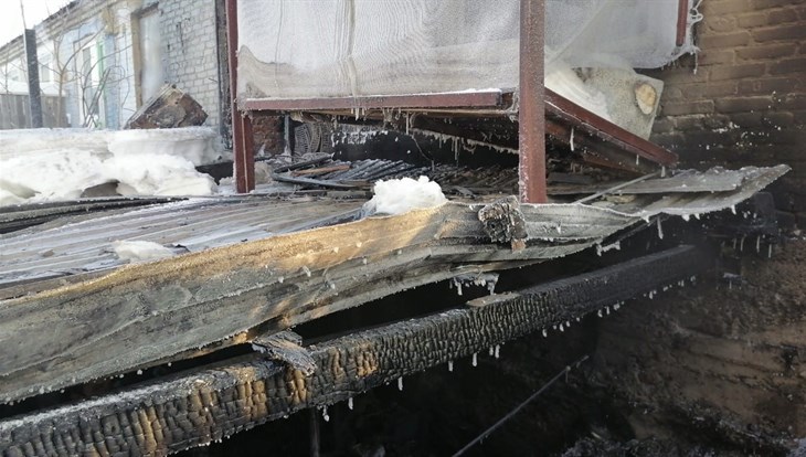 Дом, где томичка выхаживала больных животных, сгорел, нужна помощь