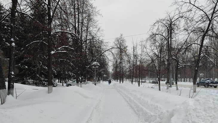 Суббота в Томске ожидается морозной и ветреной