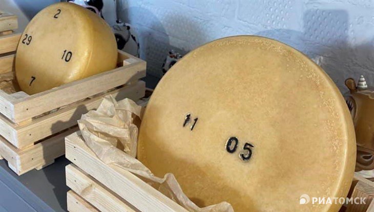 Томичи готовы выпускать закваску для производства 250 т сыра в месяц