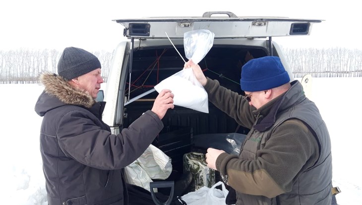 Ученые ТГУ измерят содержание микропластика в осадках по всей Сибири