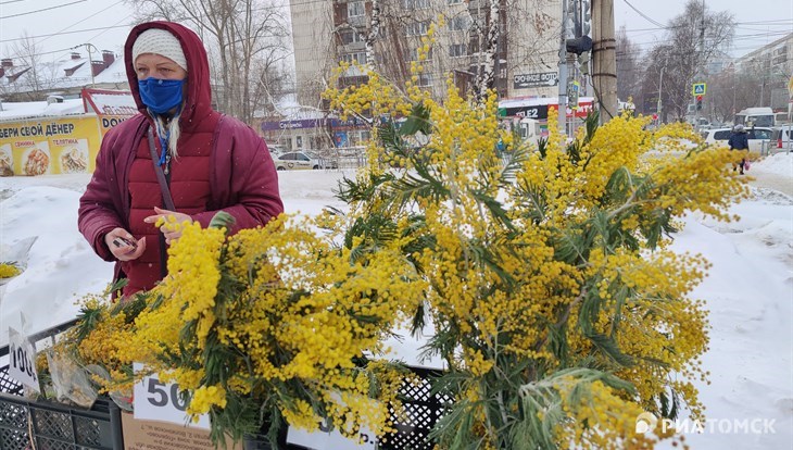 Восьмое марта в Томске будет теплым, но со снегом и сильным ветром