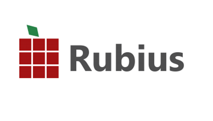 Tomsk IT-company Rubius registered its brand in the USA