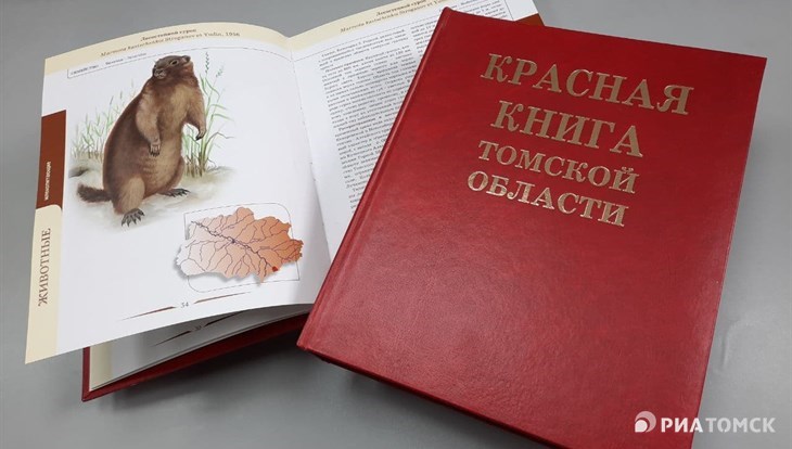 Ученые ТГУ предлагают внести в Красную книгу региона новые виды