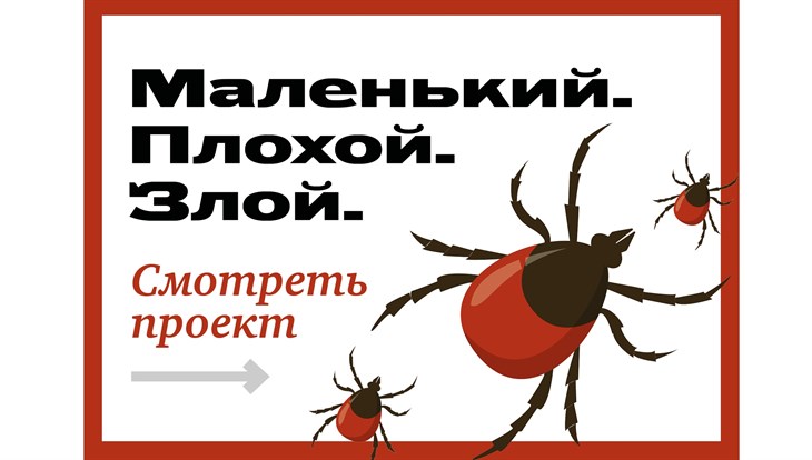 ТГУ запустил онлайн-ликбез об опасности клещей для людей и животных