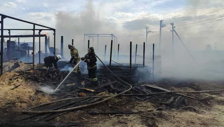 Более 20 пожарных тушат пилораму на Кузовлевском тракте в Томске