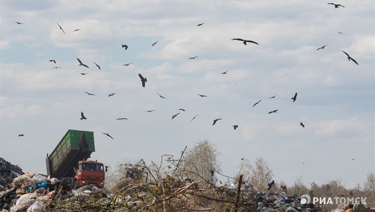 Экспертиза покажет реальные затраты мусорных томских регоператоров