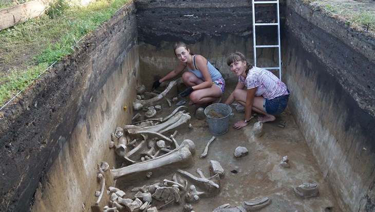 Палеонтологи ТГУ нашли культовый предмет возрастом более 19 тысяч лет
