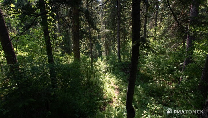 По лесам, полям и фермам: как развивается экотуризм в пригороде Томска