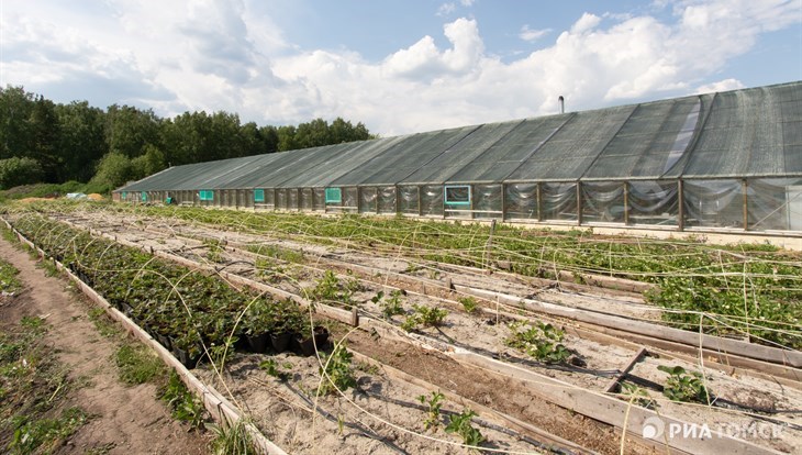 По лесам, полям и фермам: как развивается экотуризм в пригороде Томска