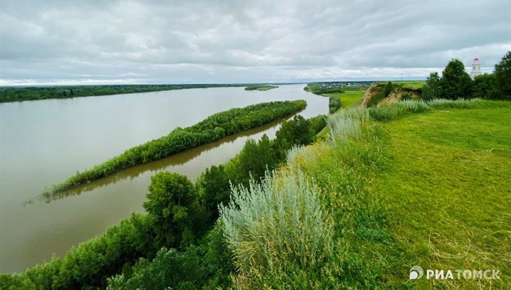 Девочка и мальчик утонули в Оби в селе Кривошеино Томской области