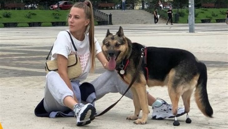 Две собаки из Краснодара получили протезы с биоактивным покрытием ТПУ