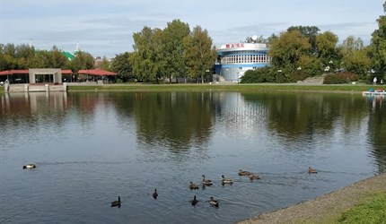 Томские власти ищут партнеров для создания жилья уткам на Белом озере