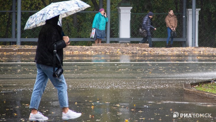 Около 10 градусов тепла с дождем и ветром ожидаются в Томске в четверг