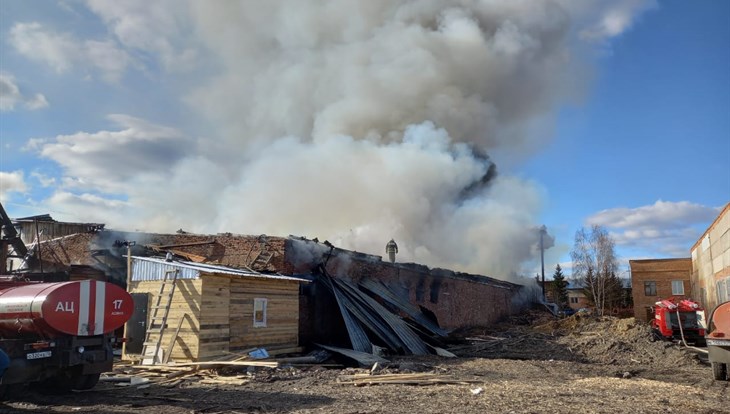 Крупный пожар уничтожил технику для валки леса в промзоне Асина