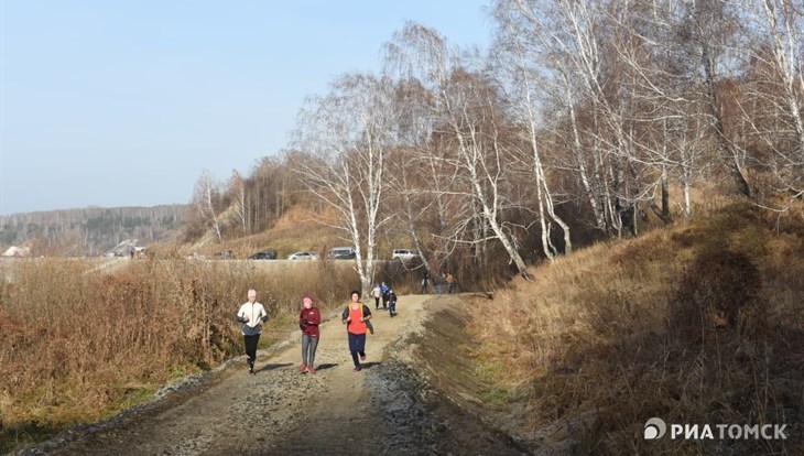 Зоны для пикников хотят обустроить на тропе вдоль Томи на юге Томска
