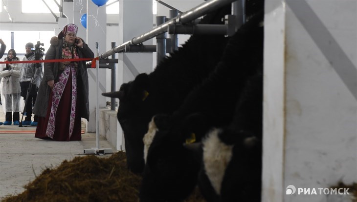 Томская ферма с эталонным молоком открылась после реконструкции