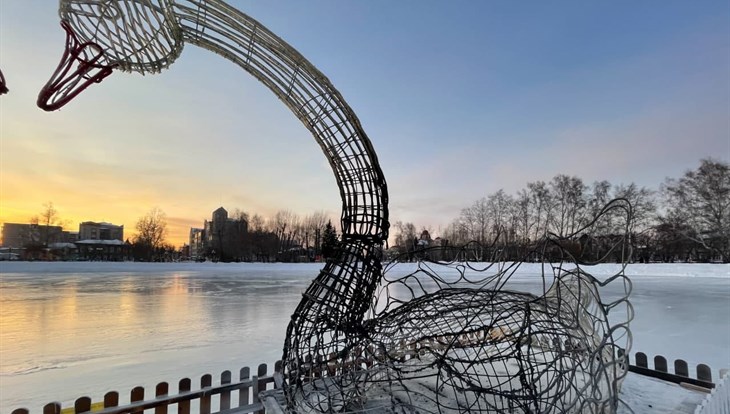 Светодиодные лебеди сгорели на Белом озере в Томске