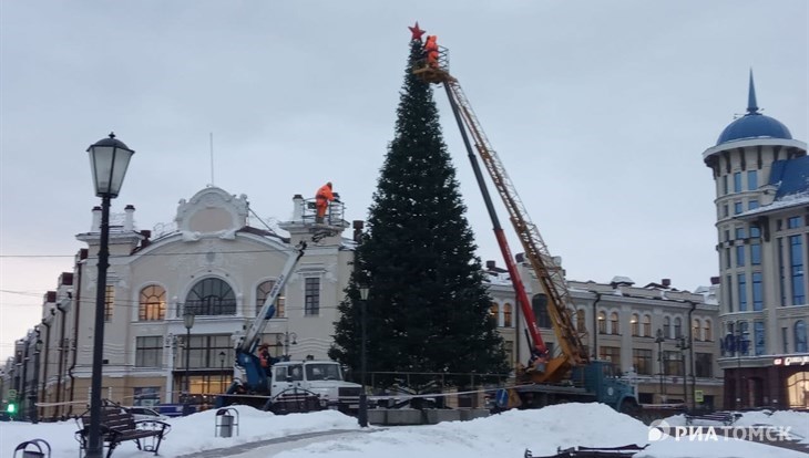 Морозы до минус 33 градусов придут в Томскую область к концу декабря