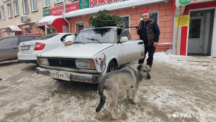 Мэрия Томска: на проект городского приюта для собак нужно 5,5 млн руб
