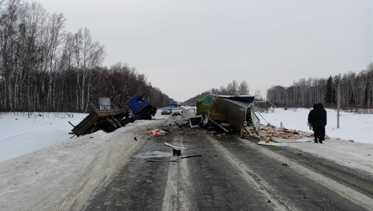 Груженная хлебом Газель столкнулась с тягачом на трассе под Томском