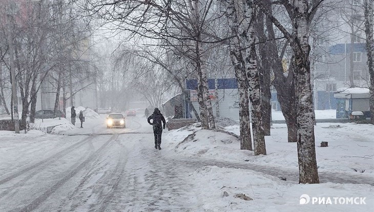 Четверг в Томске будет ветреным и с небольшим снегом