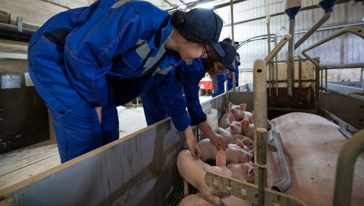 На глаз – устарело: умные камеры проследят за животными Сибагро