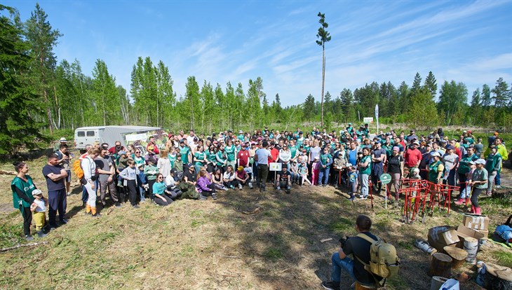 Сбербанк восстановил 2 гектара леса в Тимирязевском бору под Томском