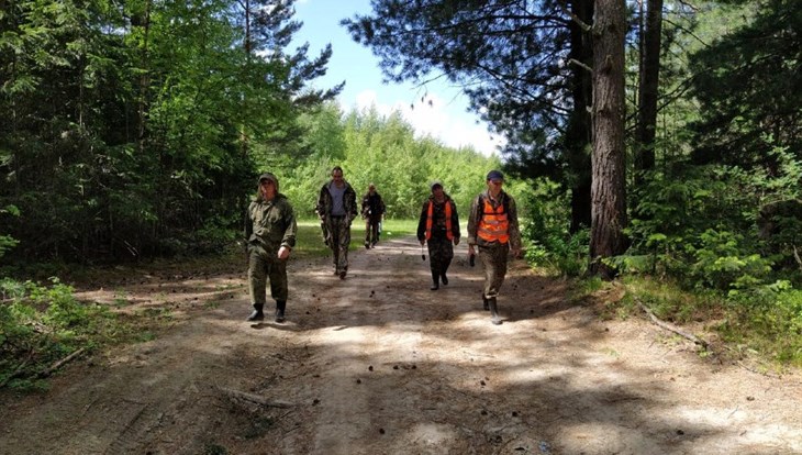 Волонтеры нашли жительницу Колпашева, бродившую по лесу 11 дней