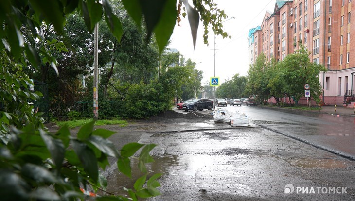 Первый дождевой сад появится в Томске в районе Речвокзала