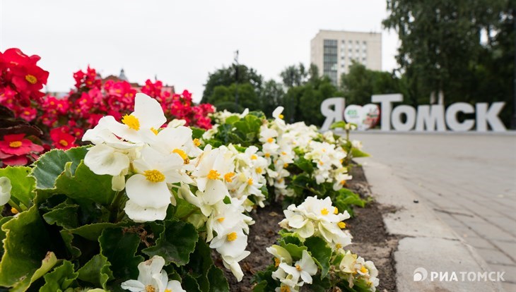 Теплая ветреная погода сохранится в Томске в пятницу