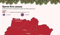 Когда в Томской области можно собирать дикоросы в 2022 году