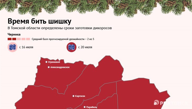 Сколько время в томском. Кедровые леса Томской области на карте. Дикоросы Томской области. Кедровый Томская область на карте. Карта кедровых лесов Томска.