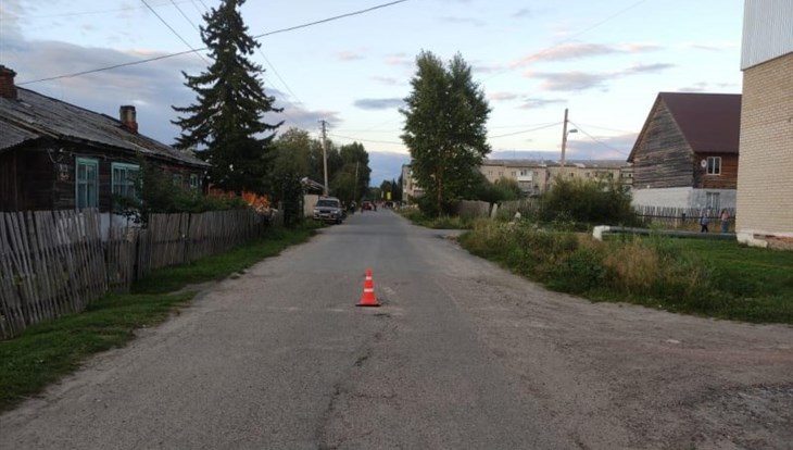 Водитель мопеда скрылся, сбив 10-летнюю велосипедистку в томском селе