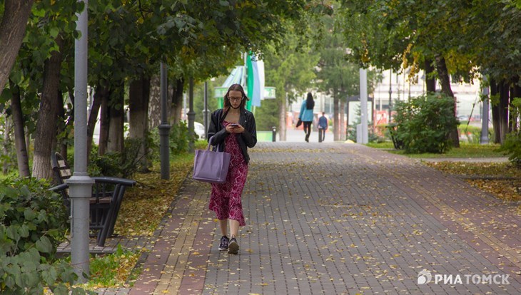 Вторник в Томске ожидается теплым, но ветреным