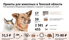 Кров и косточка: сколько животных вмещают приюты Томской области