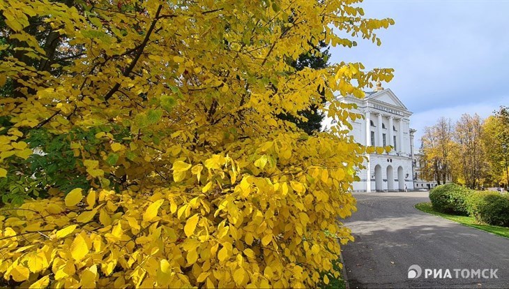 Новый сайт ТГУ станет общегородским бренд-медиа