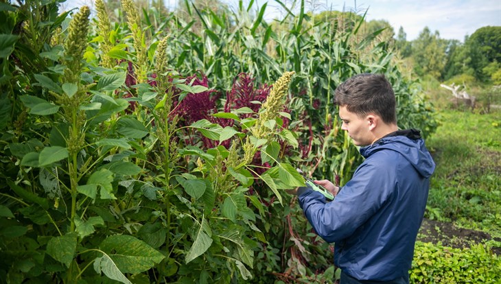 Ученые ботсада ТГУ ищут растения для карбоновой фермы в пойме Оби