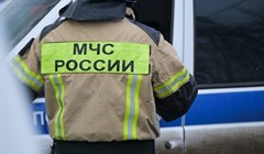 Минимальное за 10 лет число пожаров произошло в Томской обл в 2023г