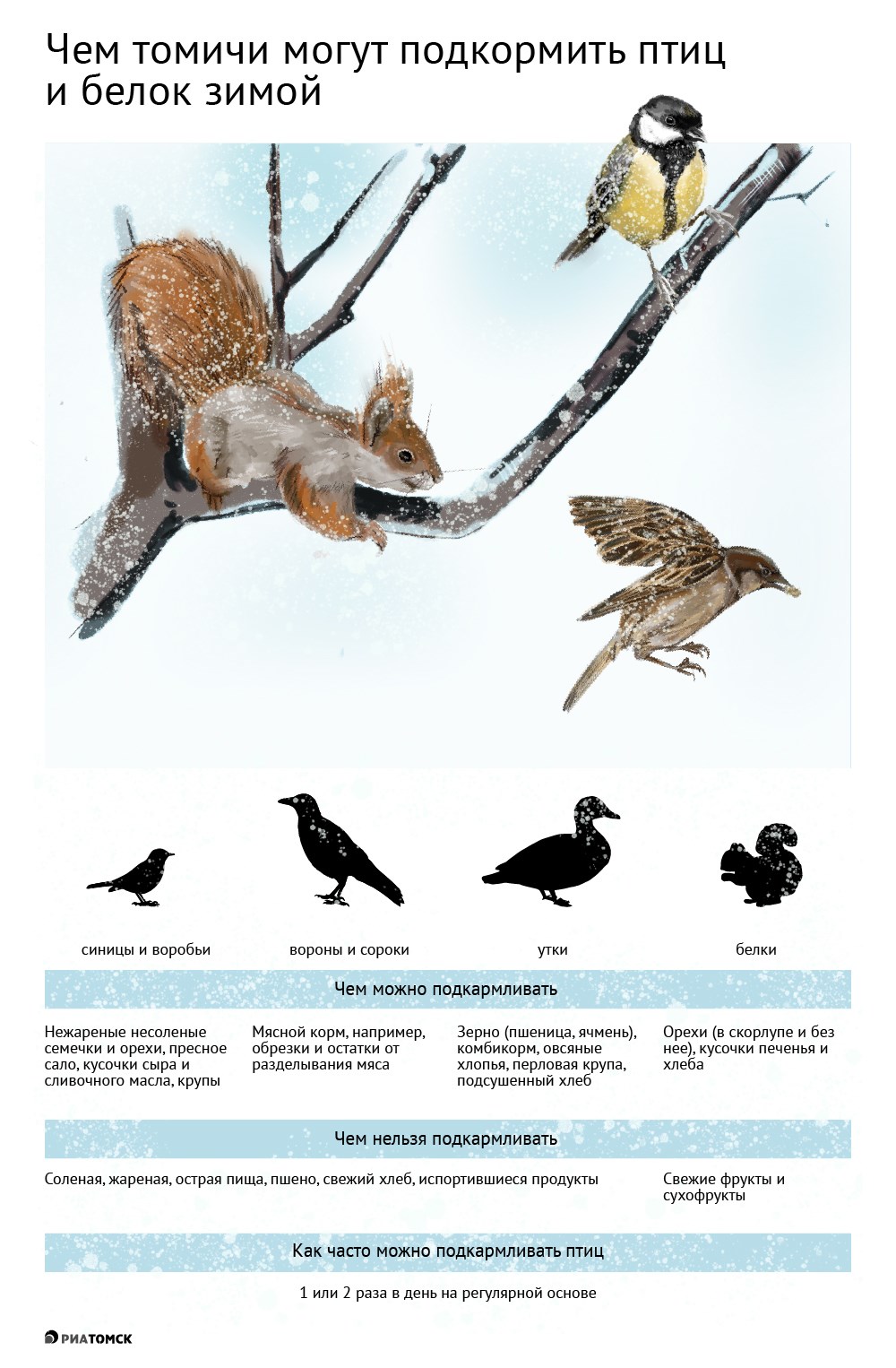 Многие томичи устанавливают кормушки для птиц и белок, заботятся о них в морозное время. Но нужно обязательно знать, чем можно, а чем нельзя подкармливать зимой пернатых и белок – об этом в инфографике РИА Томск.