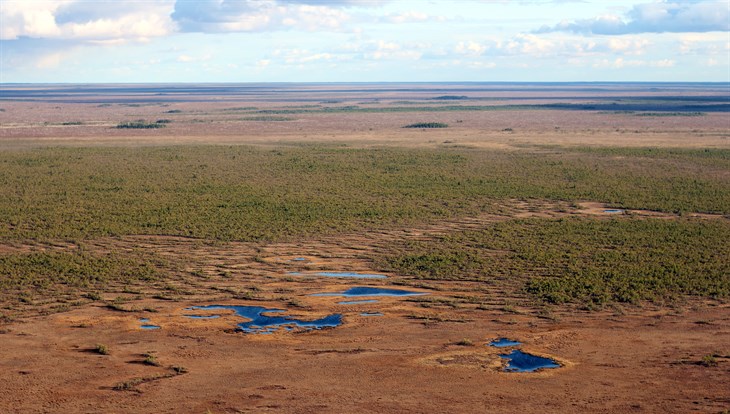 Экоэкскурсии на томские Васюганские болота продолжатся в 2023 году