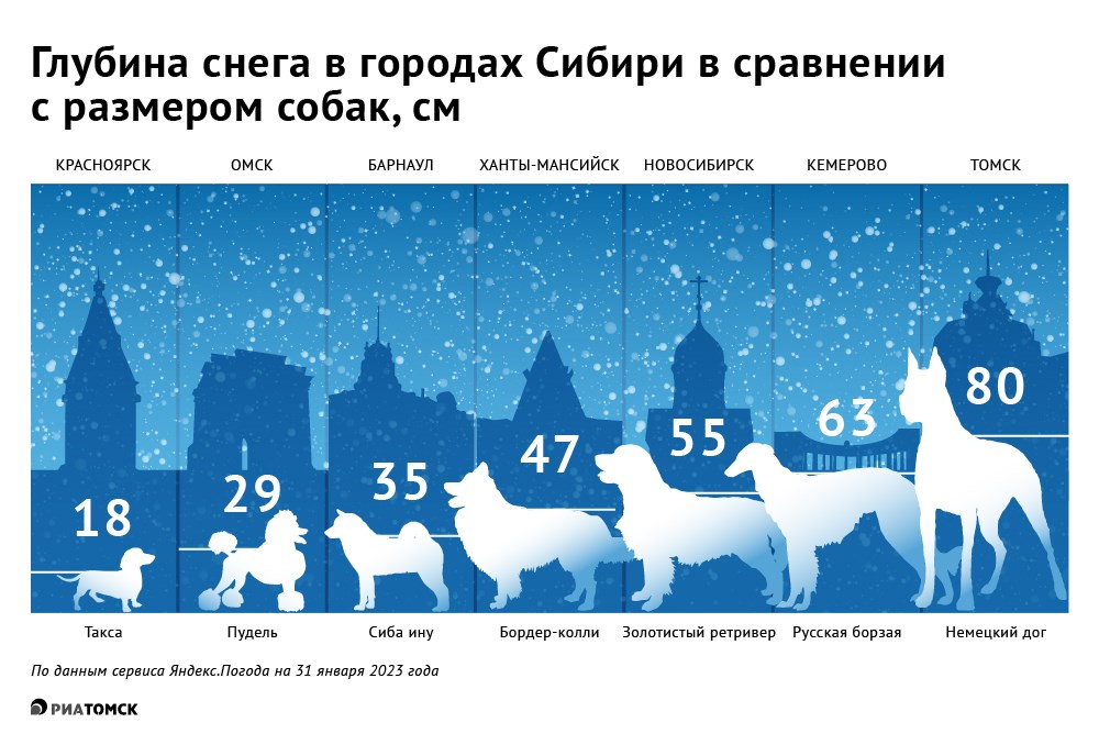 Редкий день в Томске в 2023 году обходился без снега. Только за 12-16 января в городе выпала декадная норма осадков. Глубина снега в Томске и в других городах Сибири – в инфографике РИА Томск.