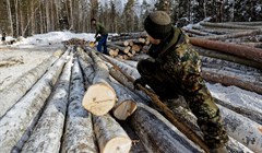 Кнорр: о развитии ЛПК говорить рано, нужно стабилизировать ситуацию