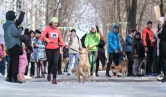 Бегом навстречу настоящей весне: в Томске прошел Мохнатый кросс