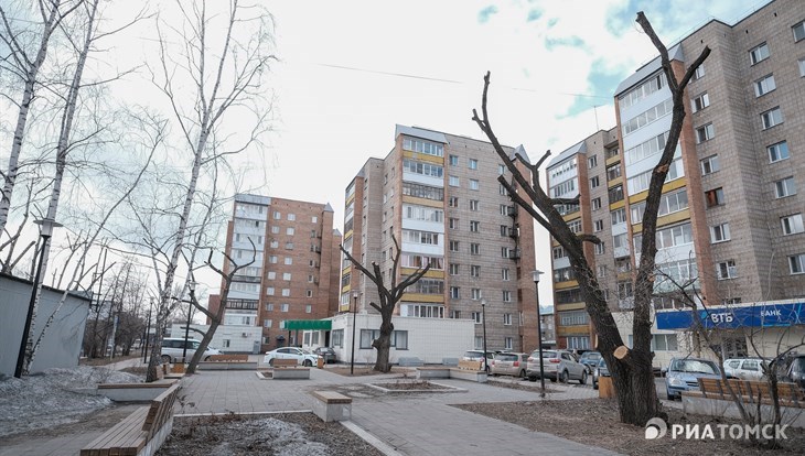 Ландшафт из пней: зачем скверу на Фрунзе в Томске повторная подрезка
