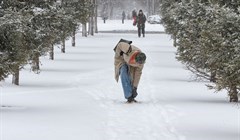 Штормовое предупреждение продлено в Томске на сутки