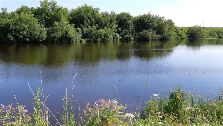 Томичка добивается отмены очистки озера Беленькое стоимостью 34млн руб