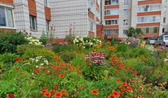 Ландшафтные волонтеры проведут для томичей цикл лекций об озеленении